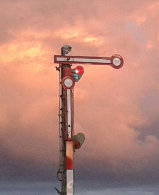 1 Bild 1