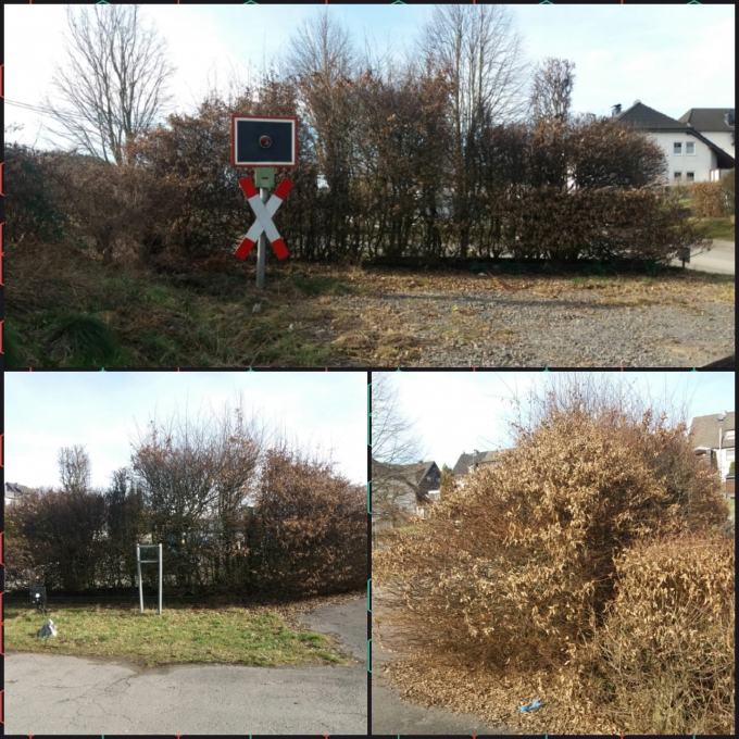 7 Bild 7