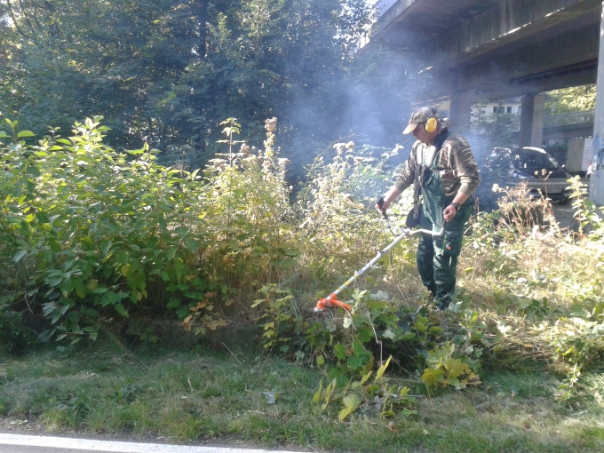 4 Bild 4