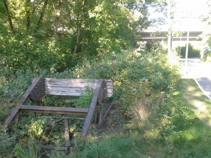 5 Bild 5