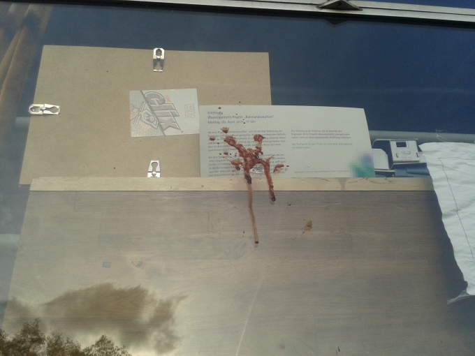 5 Bild 5