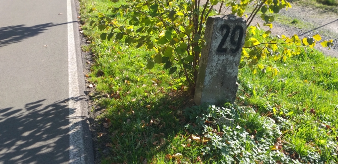 5 Bild 5