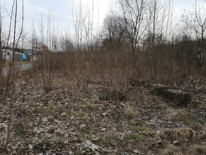 2 Bild 2