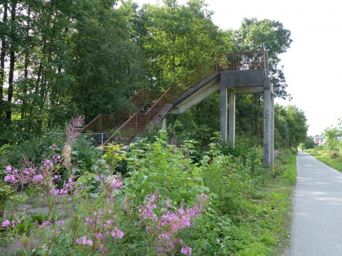 8 Bild 8