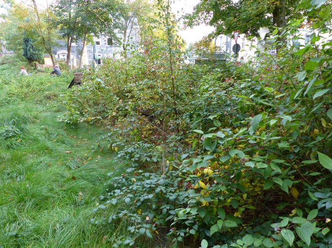 2 Bild 2