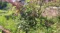 Bild 23